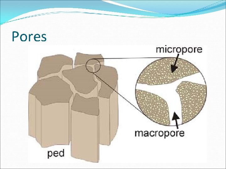 Pores Pores