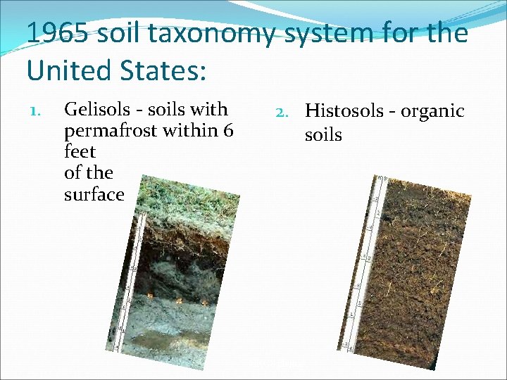 1965 soil taxonomy system for the United States: 1. Gelisols - soils with permafrost 1965 soil taxonomy system for the United States: 1. Gelisols - soils with permafrost