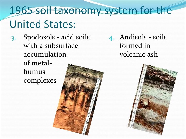1965 soil taxonomy system for the United States: 3. Spodosols - acid soils with 1965 soil taxonomy system for the United States: 3. Spodosols - acid soils with