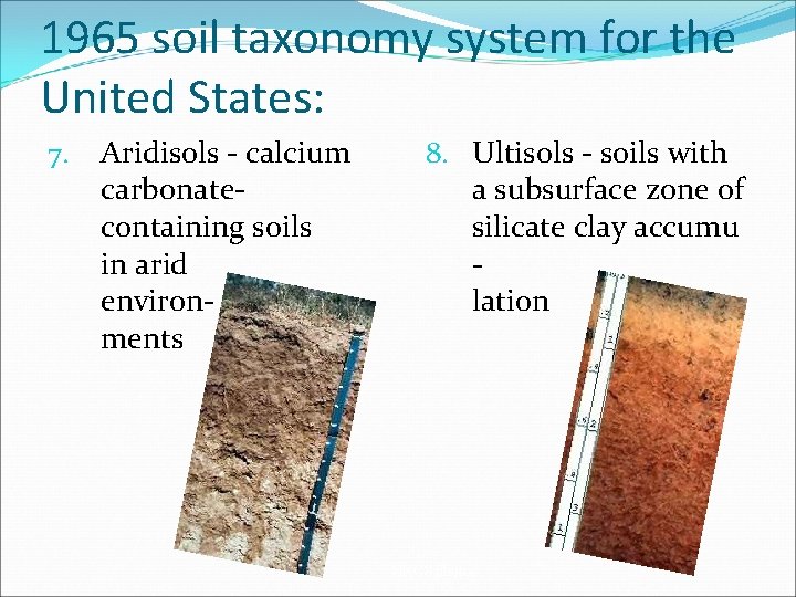 1965 soil taxonomy system for the United States: 7. Aridisols - calcium carbonatecontaining soils 1965 soil taxonomy system for the United States: 7. Aridisols - calcium carbonatecontaining soils