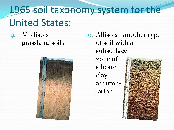 1965 soil taxonomy system for the United States: 9. Mollisols grassland soils 10. Alfisols 1965 soil taxonomy system for the United States: 9. Mollisols grassland soils 10. Alfisols