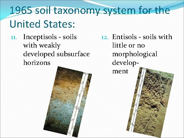 1965 soil taxonomy system for the United States: 11. Inceptisols - soils with weakly 1965 soil taxonomy system for the United States: 11. Inceptisols - soils with weakly