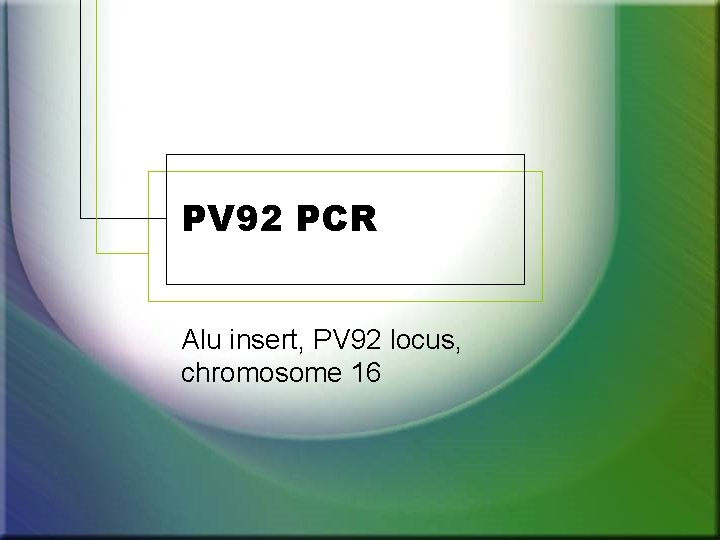 PV 92 PCR Alu insert, PV 92 locus, chromosome 16 PV 92 PCR Alu insert, PV 92 locus, chromosome 16