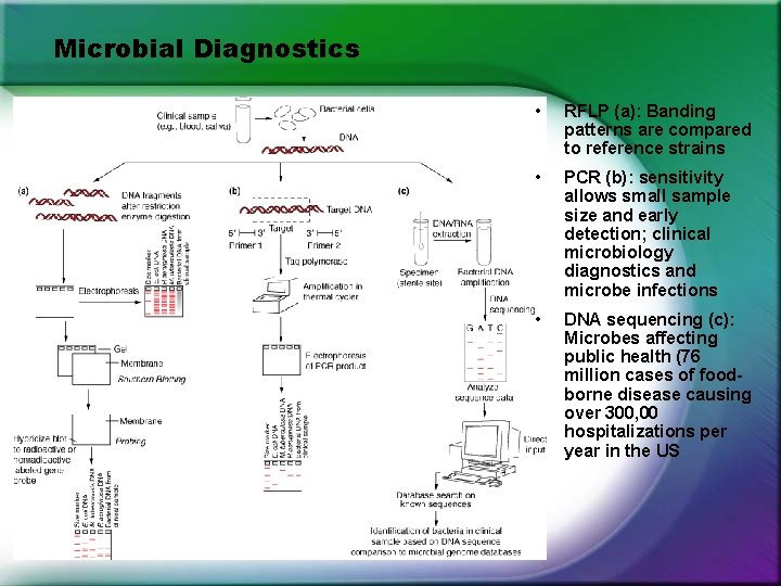 Microbial Diagnostics • RFLP (a): Banding patterns are compared to reference strains • PCR Microbial Diagnostics • RFLP (a): Banding patterns are compared to reference strains • PCR