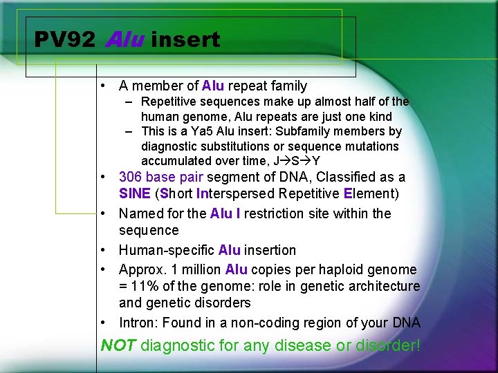 PV 92 Alu insert • A member of Alu repeat family – Repetitive sequences PV 92 Alu insert • A member of Alu repeat family – Repetitive sequences