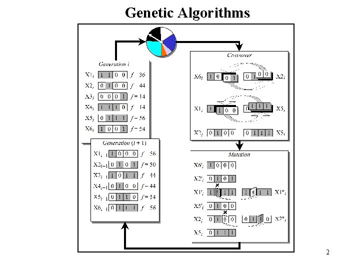 Genetic Algorithms 2 