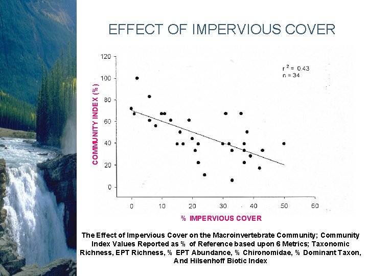 COMMUNITY INDEX (%) EFFECT OF IMPERVIOUS COVER % IMPERVIOUS COVER The Effect of Impervious COMMUNITY INDEX (%) EFFECT OF IMPERVIOUS COVER % IMPERVIOUS COVER The Effect of Impervious