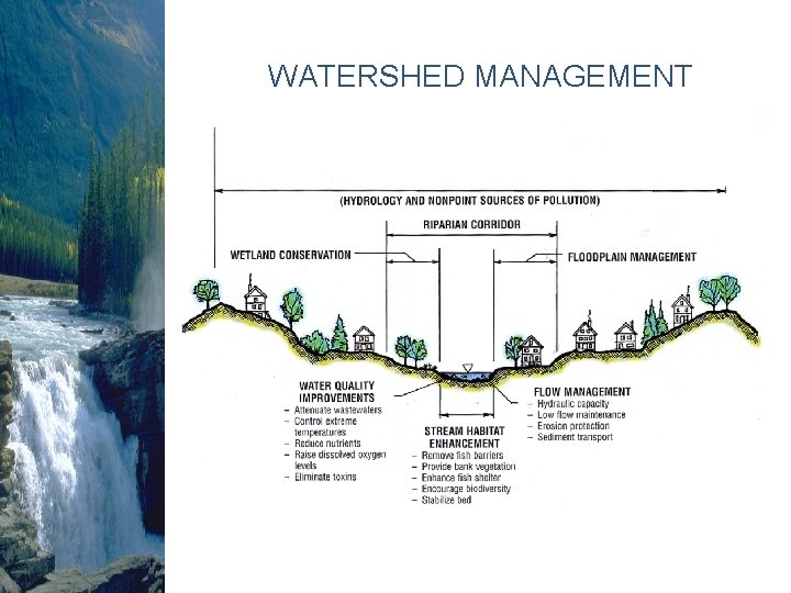 WATERSHED MANAGEMENT WATERSHED MANAGEMENT