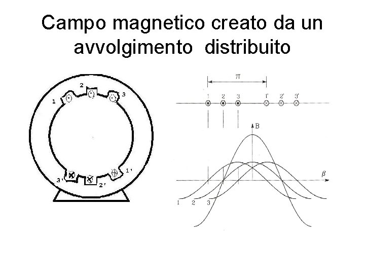 Campo magnetico creato da un avvolgimento distribuito 