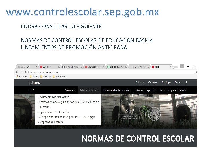 www. controlescolar. sep. gob. mx PODRA CONSULTAR LO SIGUIENTE: NORMAS DE CONTROL ESCOLAR DE