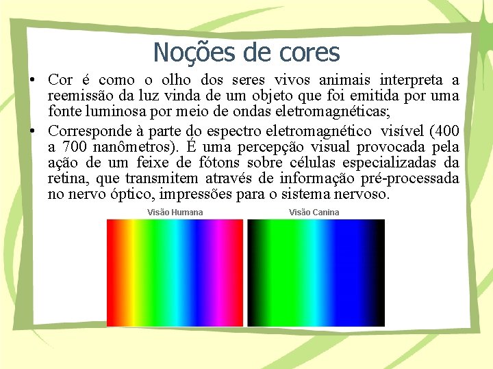 Noções de cores • Cor é como o olho dos seres vivos animais interpreta