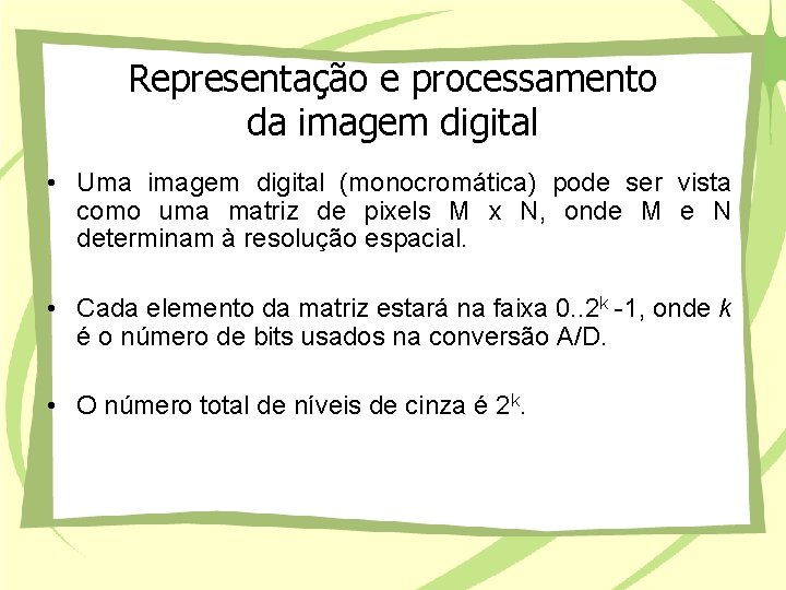 Representação e processamento da imagem digital • Uma imagem digital (monocromática) pode ser vista