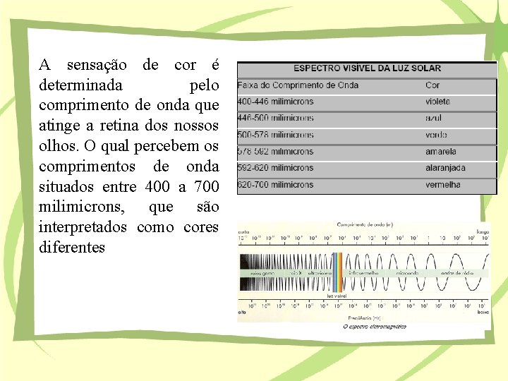 A sensação de cor é determinada pelo comprimento de onda que atinge a retina