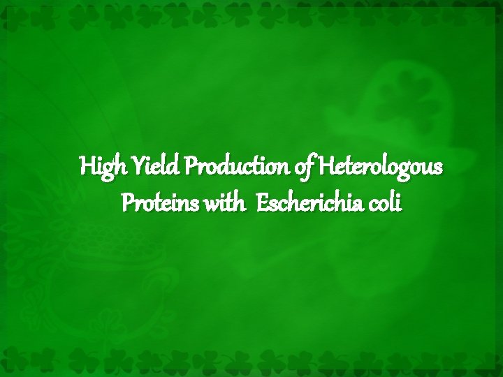 High Yield Production of Heterologous Proteins with Escherichia coli 