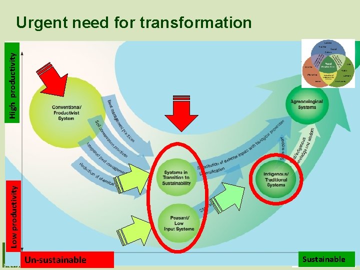 Low productivity High productivity Urgent need for transformation Un-sustainable Sustainable 