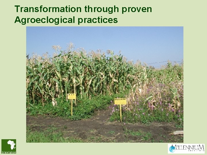 Transformation through proven Agroeclogical practices 