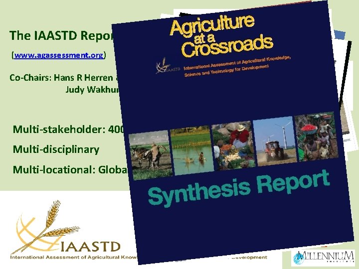 The IAASTD Reports (www. agassessment. org) Co-Chairs: Hans R Herren & Judy Wakhungu Multi-stakeholder: