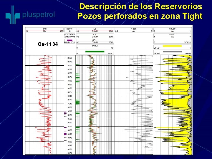 Descripción de los Reservorios Pozos perforados en zona Tight Ce-1134 