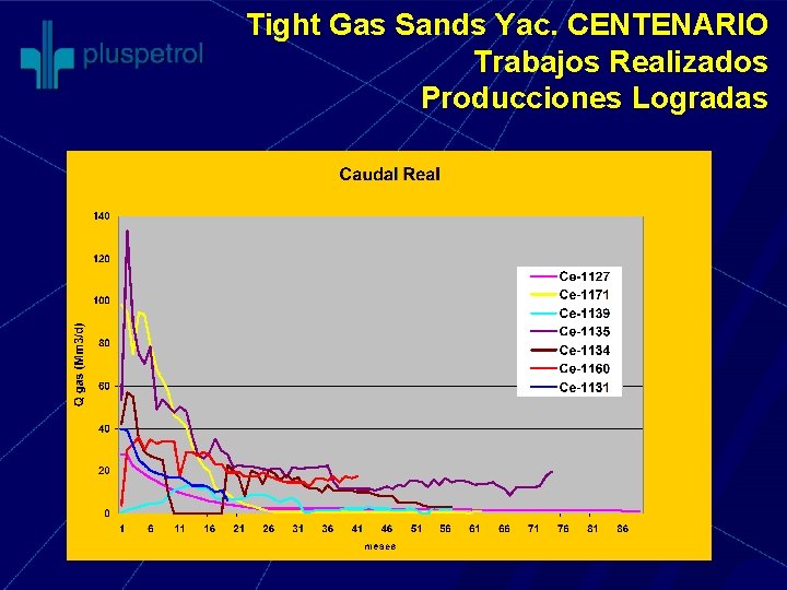Tight Gas Sands Yac. CENTENARIO Trabajos Realizados Producciones Logradas 