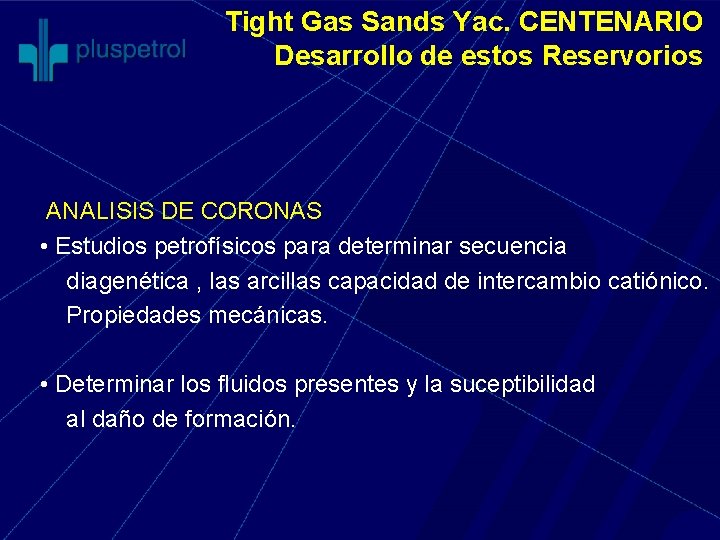 Tight Gas Sands Yac. CENTENARIO Desarrollo de estos Reservorios ANALISIS DE CORONAS • Estudios