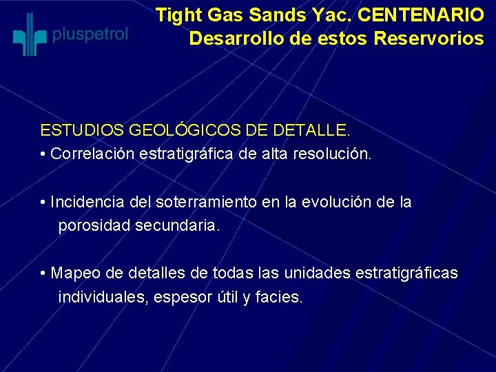 Tight Gas Sands Yac. CENTENARIO Desarrollo de estos Reservorios ESTUDIOS GEOLÓGICOS DE DETALLE. •
