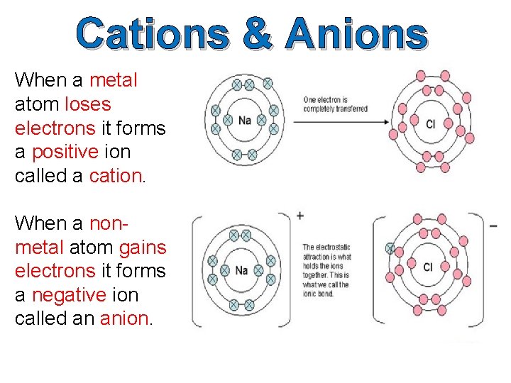 Cations & Anions When a metal atom loses electrons it forms a positive ion