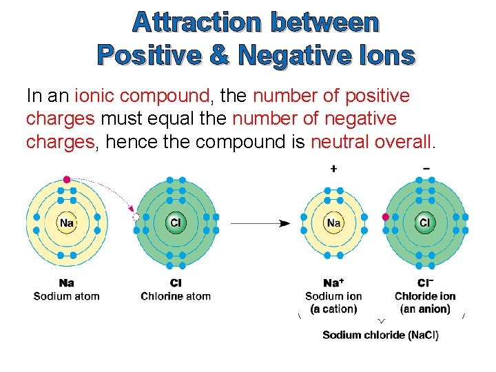 Attraction between Positive & Negative Ions In an ionic compound, the number of positive