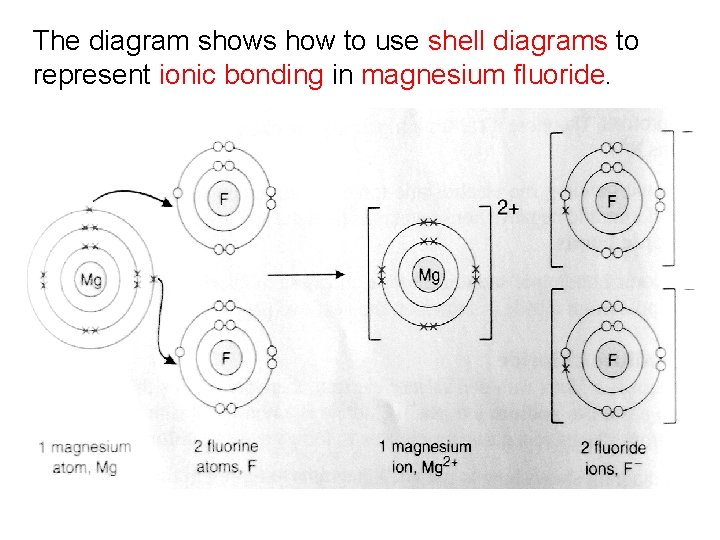 The diagram shows how to use shell diagrams to represent ionic bonding in magnesium