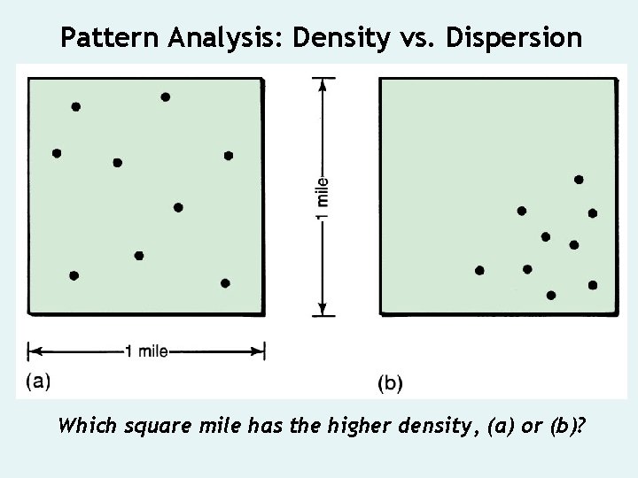 Pattern Analysis: Density vs. Dispersion Which square mile has the higher density, (a) or