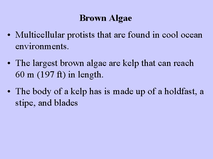 Brown Algae • Multicellular protists that are found in cool ocean environments. • The