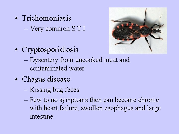  • Trichomoniasis – Very common S. T. I • Cryptosporidiosis – Dysentery from