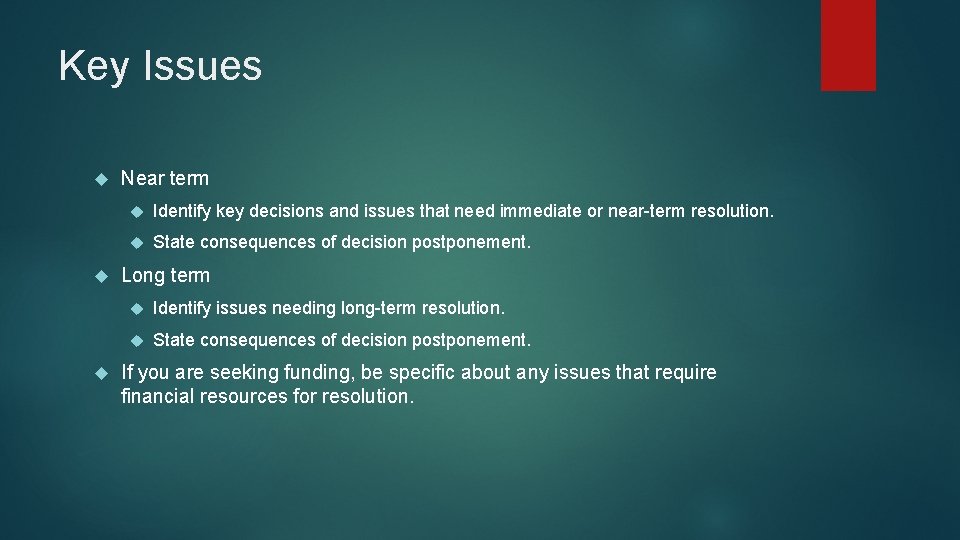 Key Issues Near term Identify key decisions and issues that need immediate or near-term