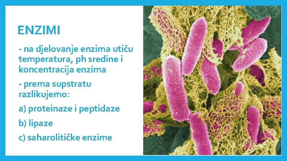 ENZIMI - na djelovanje enzima utiču temperatura, ph sredine i koncentracija enzima - prema