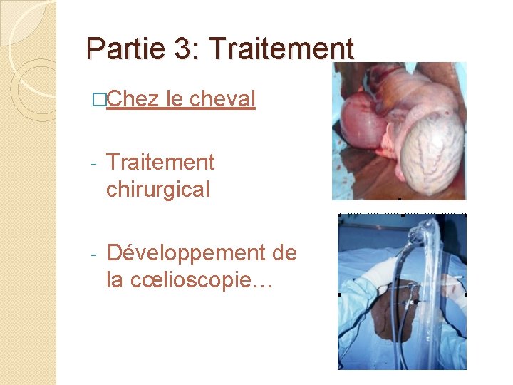 Partie 3: Traitement �Chez le cheval - Traitement chirurgical - Développement de la cœlioscopie…