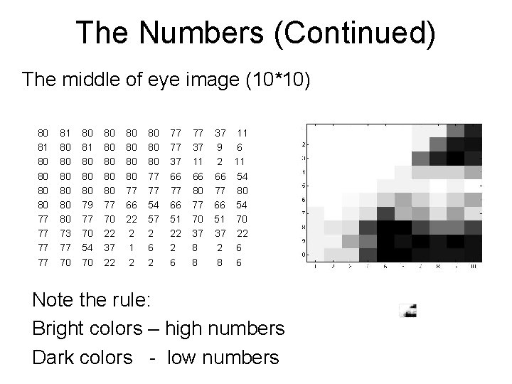 The Numbers (Continued) The middle of eye image (10*10) 80 81 80 80 77