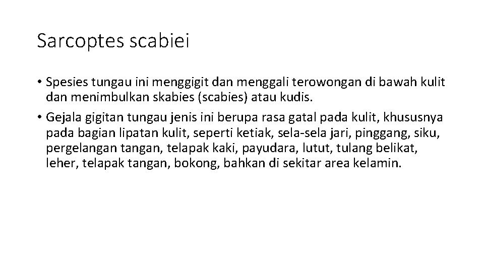 Sarcoptes scabiei • Spesies tungau ini menggigit dan menggali terowongan di bawah kulit dan