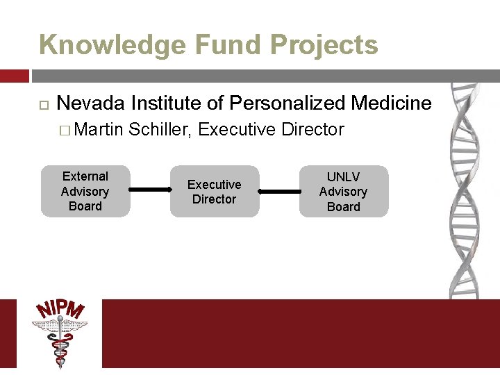 Knowledge Fund Projects Nevada Institute of Personalized Medicine � Martin External Advisory Board Schiller,