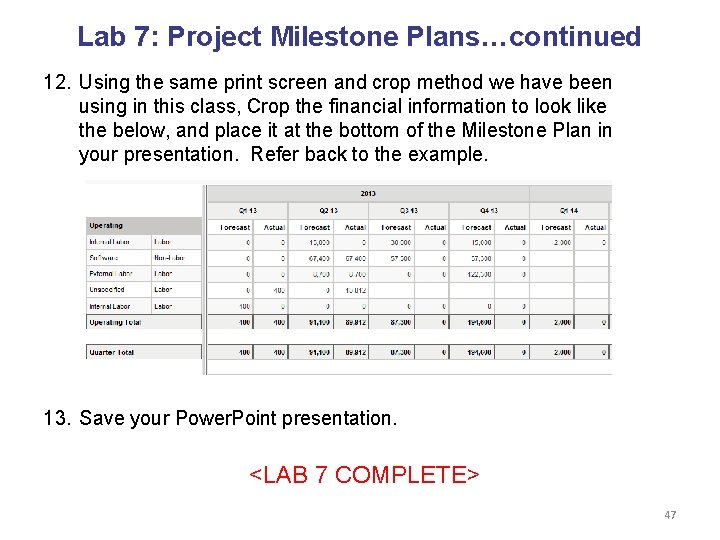 Lab 7: Project Milestone Plans…continued 12. Using the same print screen and crop method