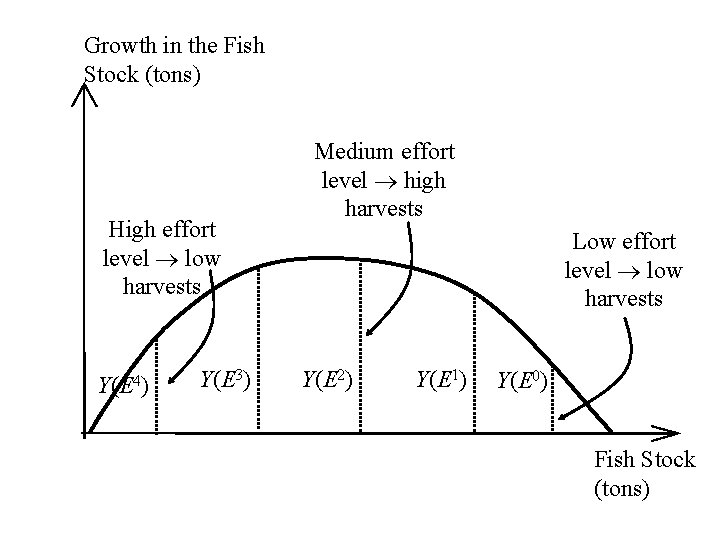 Growth in the Fish Stock (tons) High effort level low harvests Y(E 4) Y(E