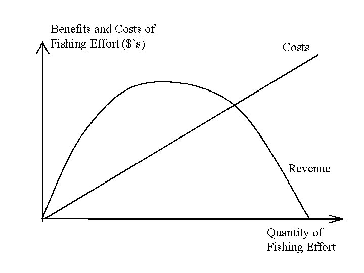 Benefits and Costs of Fishing Effort ($’s) Costs Revenue Quantity of Fishing Effort 