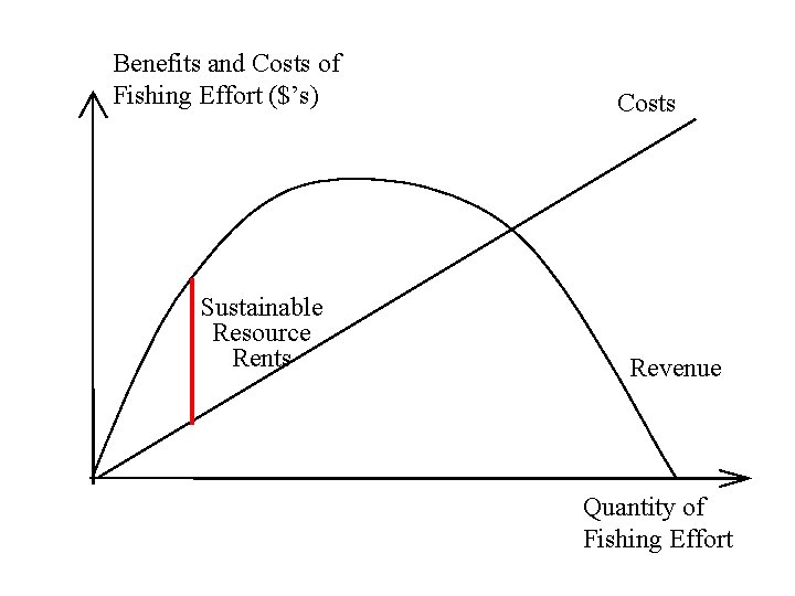 Benefits and Costs of Fishing Effort ($’s) Sustainable Resource Rents Costs Revenue Quantity of