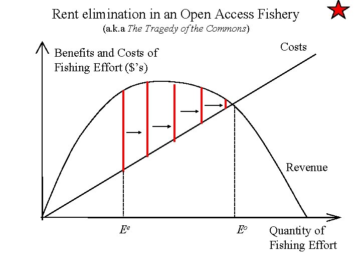 Rent elimination in an Open Access Fishery (a. k. a The Tragedy of the