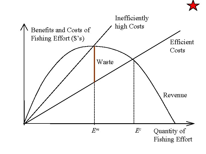 Inefficiently high Costs Benefits and Costs of Fishing Effort ($’s) Efficient Costs Waste Revenue