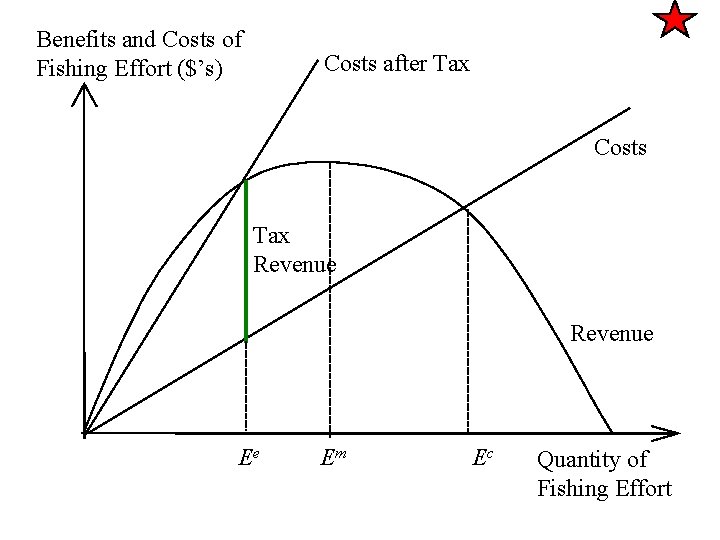 Benefits and Costs of Fishing Effort ($’s) Costs after Tax Costs Tax Revenue Ee