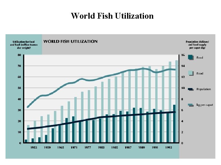 World Fish Utilization 