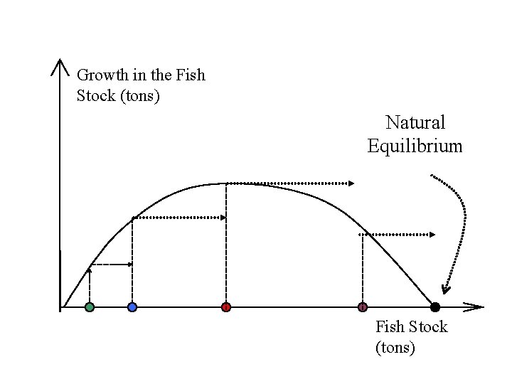 Growth in the Fish Stock (tons) Natural Equilibrium Fish Stock (tons) 