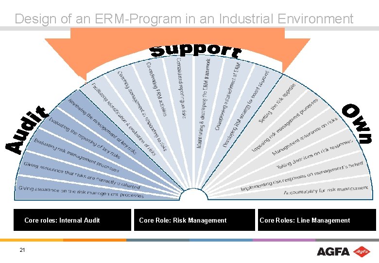Design of an ERM-Program in an Industrial Environment Core roles: Internal Audit 21 Core