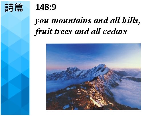 詩篇 148: 9 you mountains and all hills, fruit trees and all cedars 