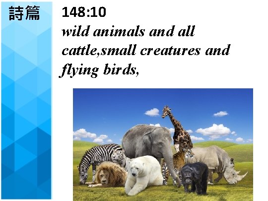詩篇 148: 10 wild animals and all cattle, small creatures and flying birds, 