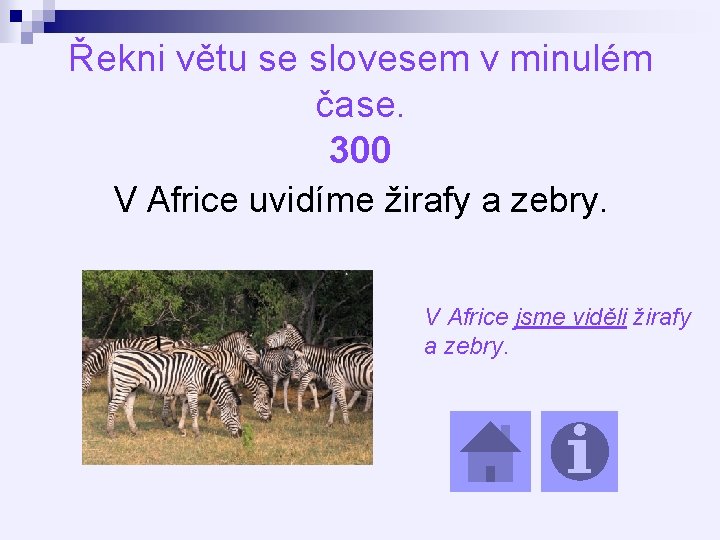 Řekni větu se slovesem v minulém čase. 300 V Africe uvidíme žirafy a zebry.